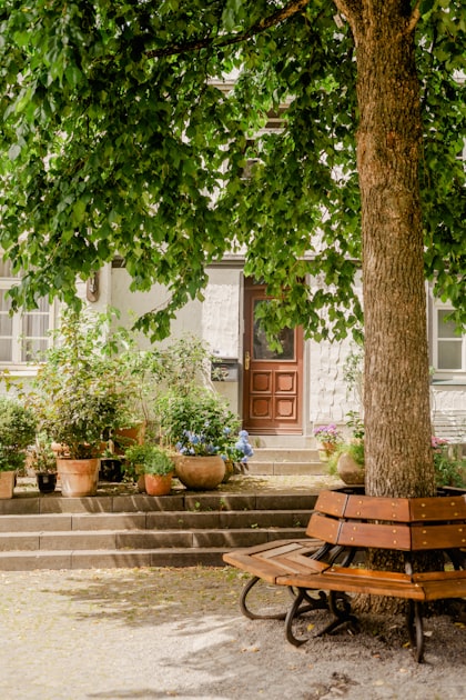 The Benefits of Gardening for Mental Health