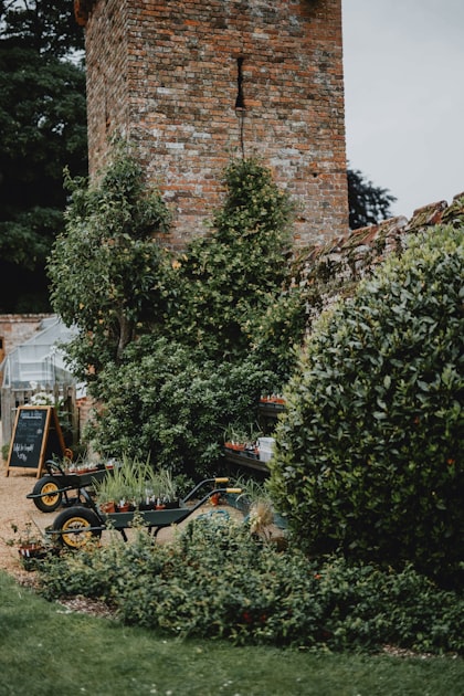 Essential Tools for Every Gardener