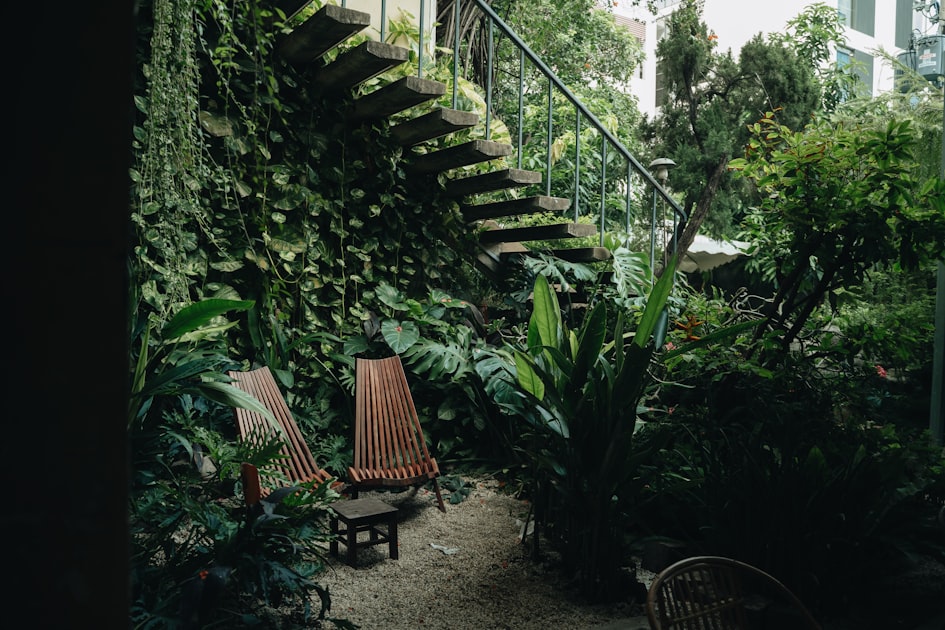 Creating a Wildlife-Friendly Garden